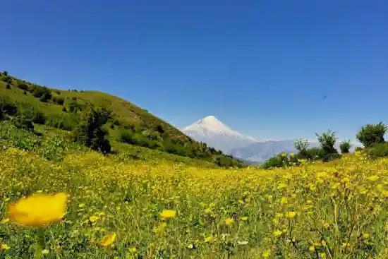 قله امامزاده قاسم چلاو