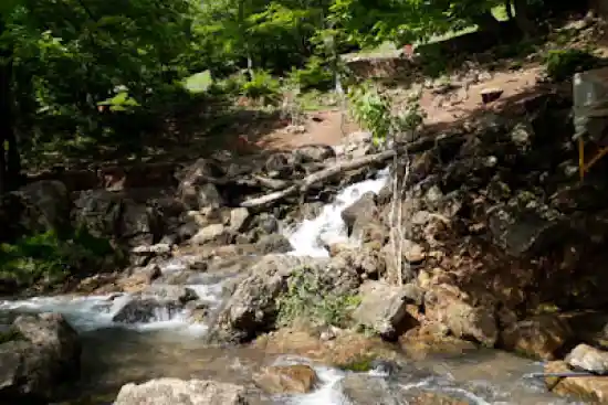 سرچشمه کلشتر