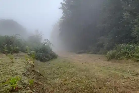 جنگل آغوزبن