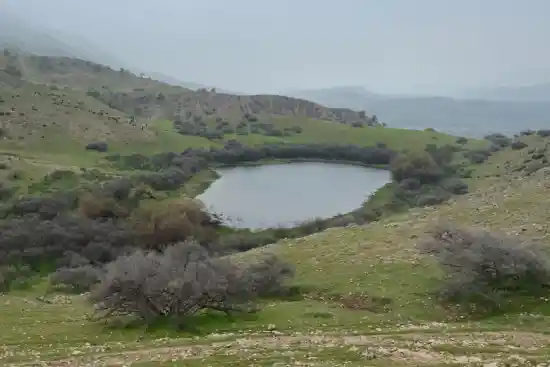 گوری زالی آوو