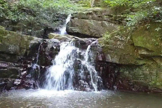 آبشار جنگل هویدا