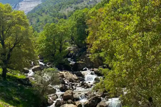 تنگه کینی دروزنه