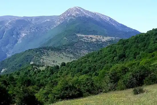 دشت سردانسر