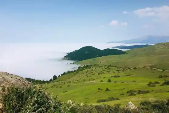 دشت اربودار