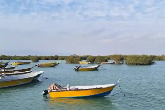 جنگل حرا کورزین