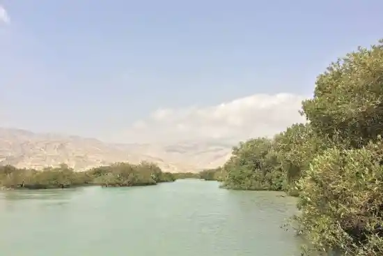 جنگل حرا بندر خمیر