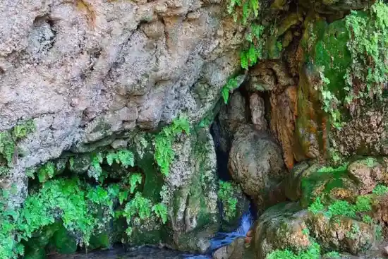 چشمه شورسبز