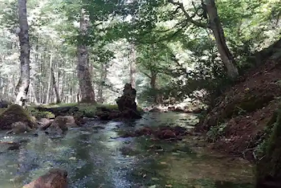 چشمه کشه مرز