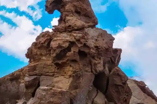 قارتال داشی