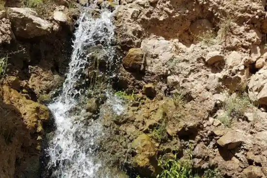 آبشار گل زرد