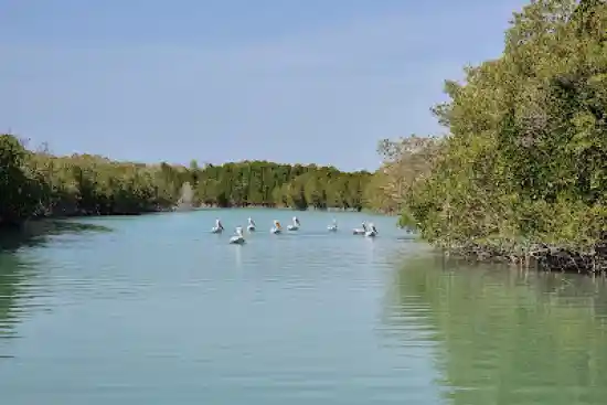 تالاب خورآذینی