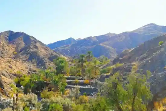 زیارت شهر درجخ