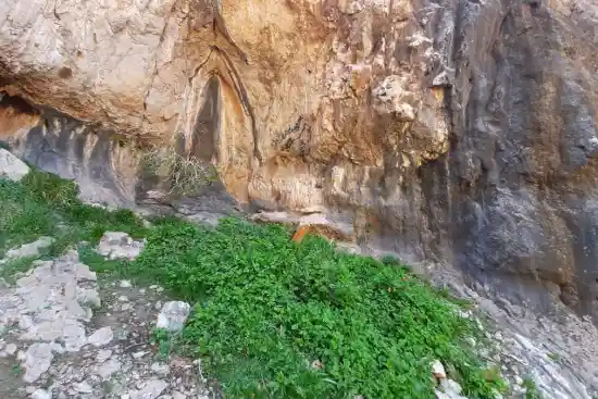 چشمه کرکسون