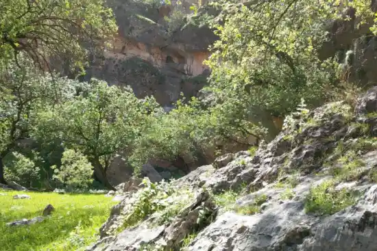 ورودی دره پرندگان 