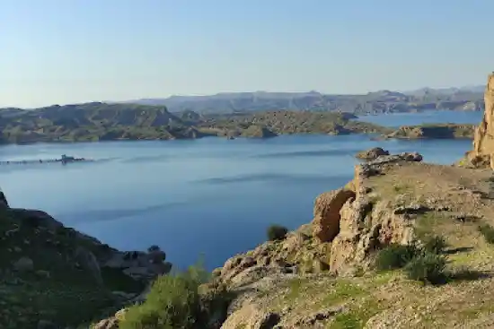 سد رئیس علی دلواری