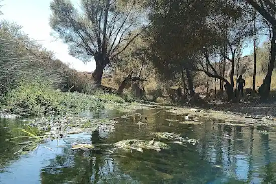 بیشه زار بابا شاه حسین