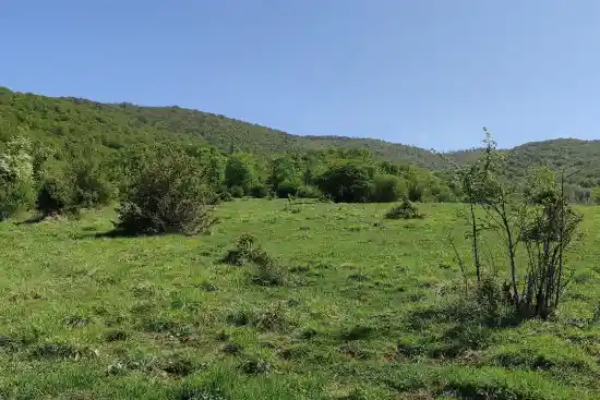 دشت اول اوبن