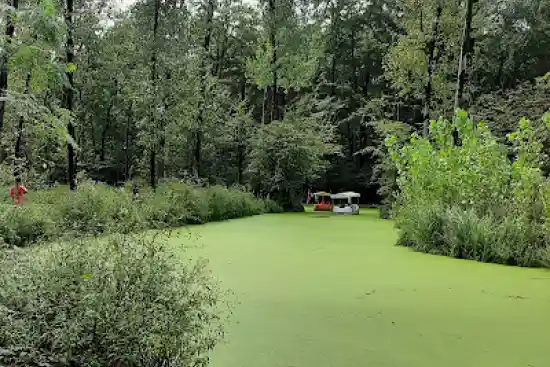 مرداب فشتام