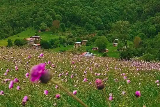 ییلاق چنگش چهارمحل