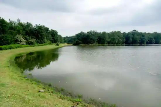 استخر روجگیل