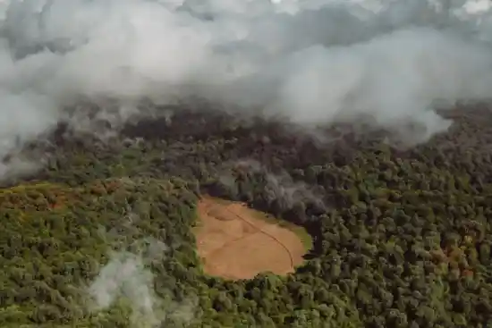 لته نوروز علی