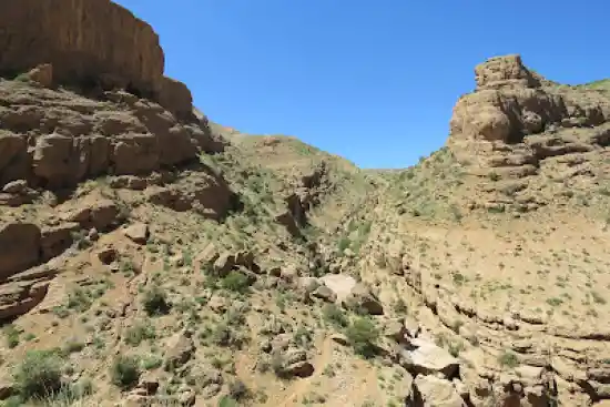 تنگه شب شتری