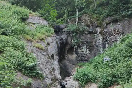 جنگل راش شلیشه