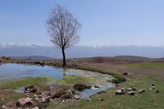 چشمه ممی بلاغی پیراغاج