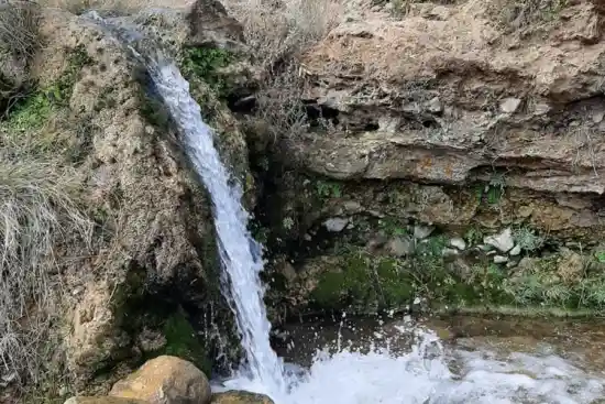 سرچشمه هامانه