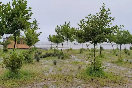 ساحل آلالان