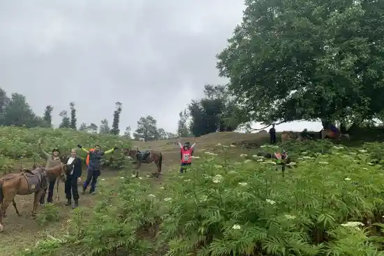 دشت لوریه سر