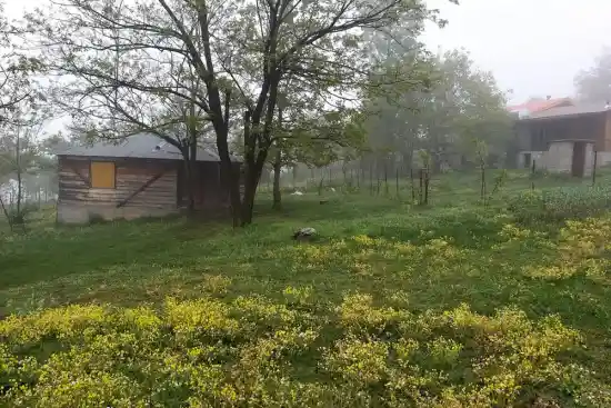 ییلاق لومه وشت