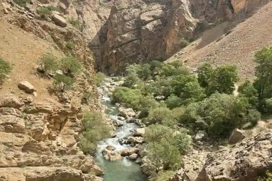 تفرجگاه بنسپر