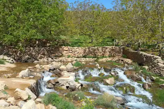 چشمه خونیار