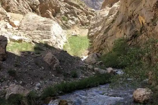 تنگه گنجه ای