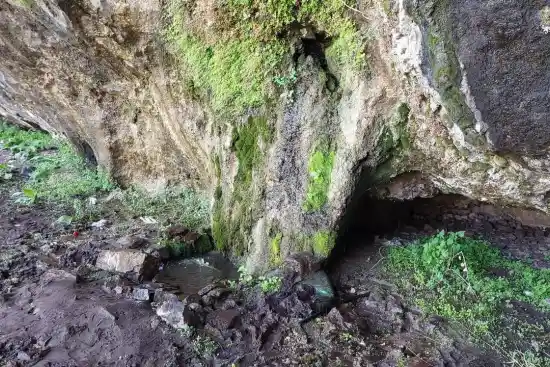 چشمه زرد کردیان