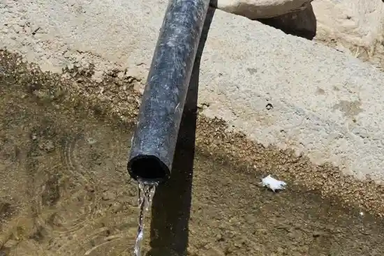 چشمه سوسالک