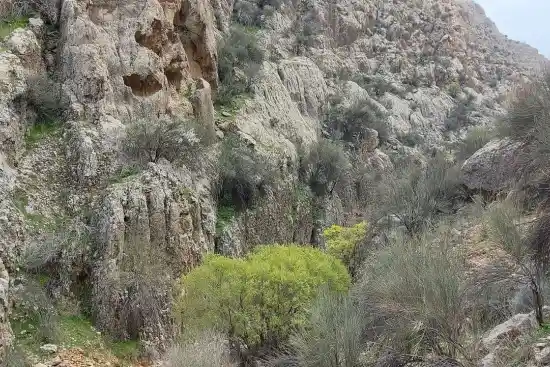 پارک ملی بمو