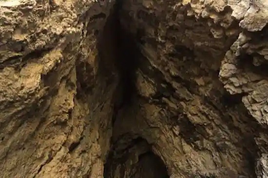 غار کلاغ وحشی