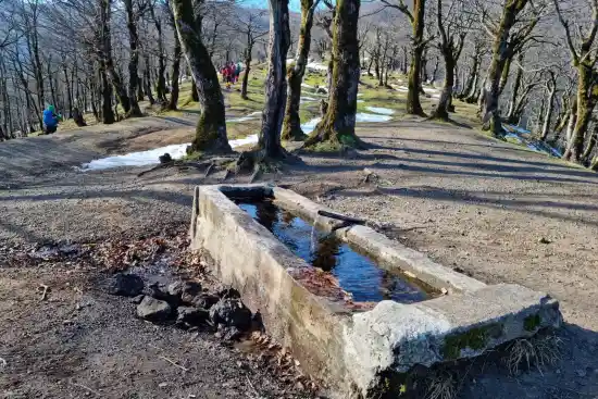 چشمه تللی بولاغ