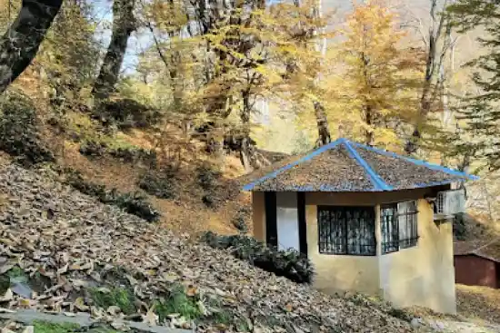 پارک جنگلی نسوم آزادمهر