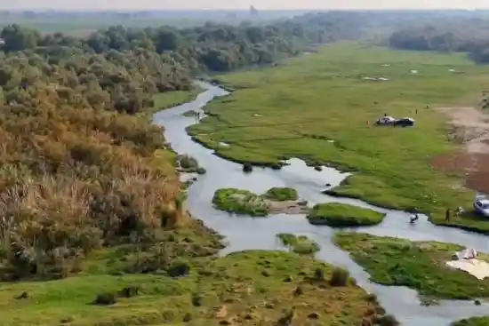 بیشه علی آباد اندیمشک