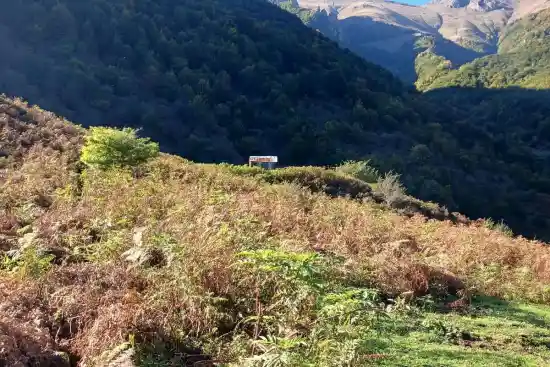 ییلاق شیرین دشت-1