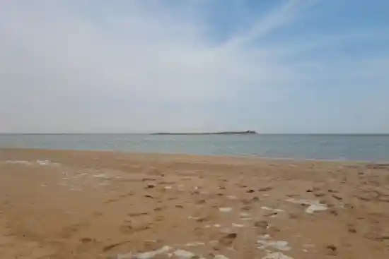 ساحل لیلتین