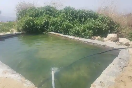 چشمه شیرازی