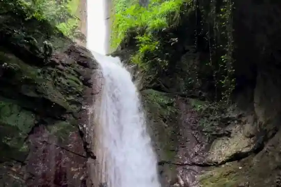 آبشار دارنو