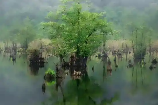 دریاچه ارواح