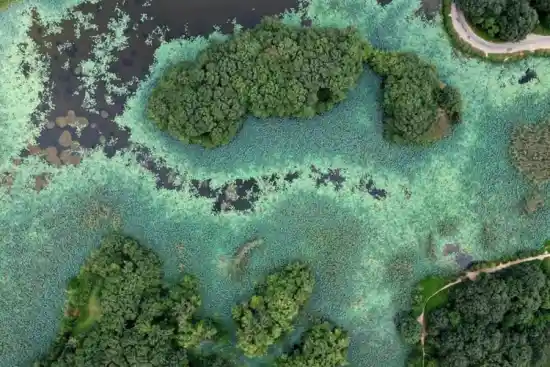 تالاب سوستان