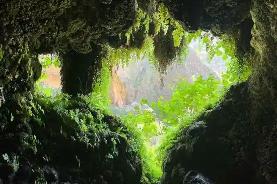 تنگه لیموها