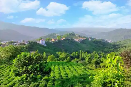 ییلاق تابستان نشین